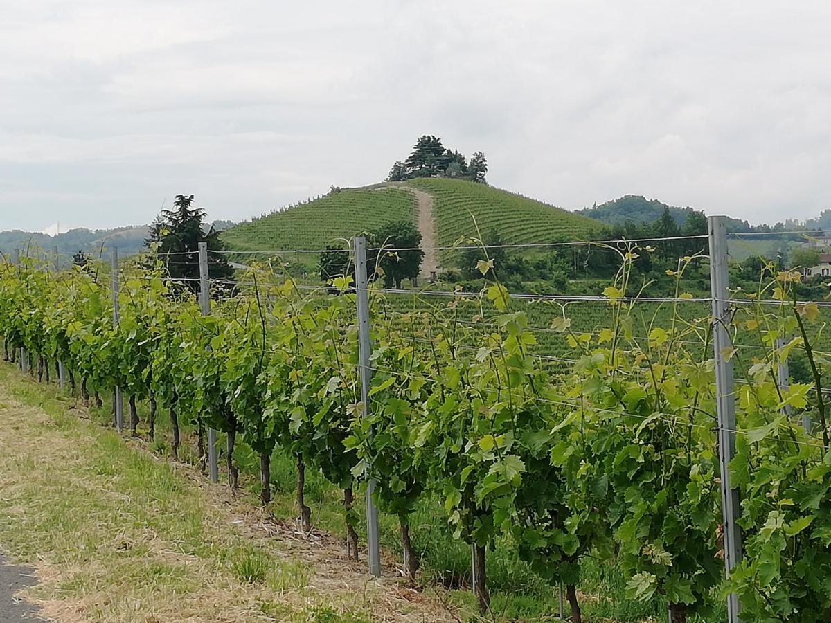 La Giribaldina Winery & Farmhouse