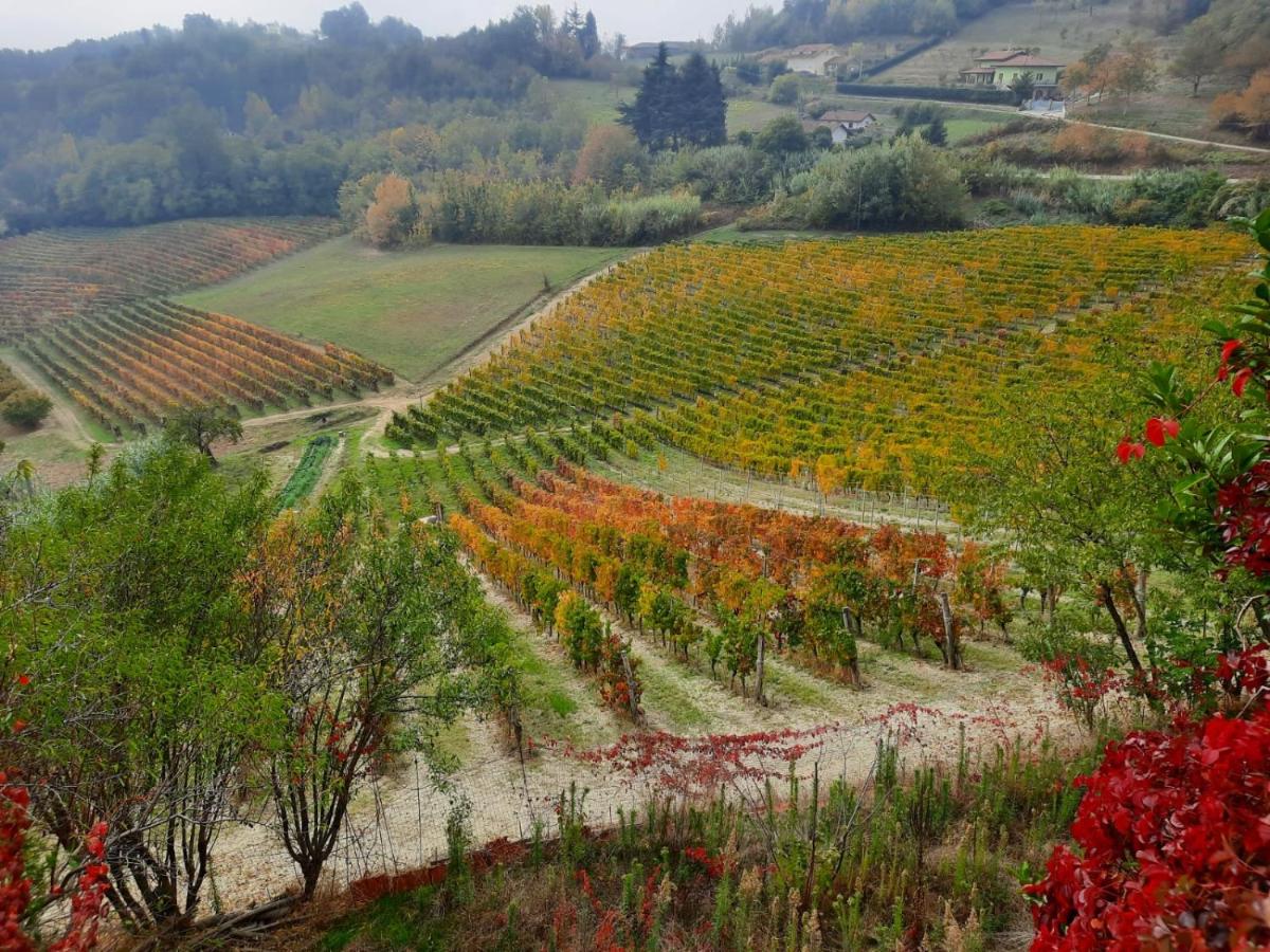 La Giribaldina Winery & Farmhouse