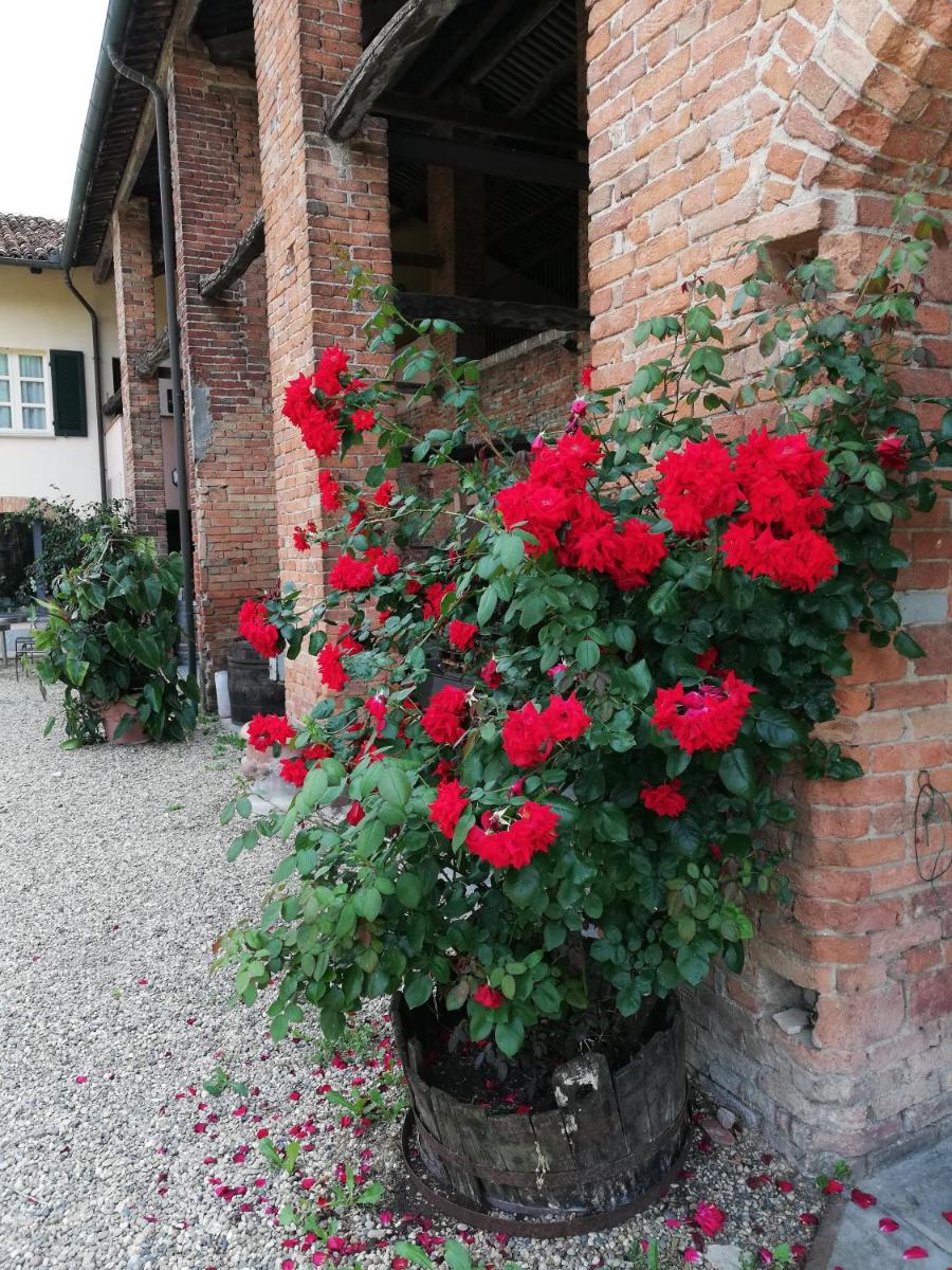 La Giribaldina Winery & Farmhouse