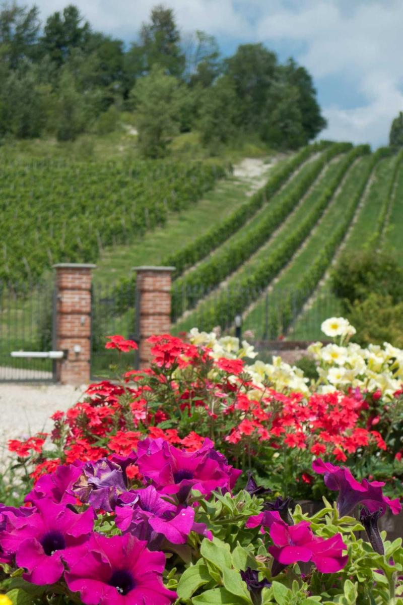La Giribaldina Winery & Farmhouse
