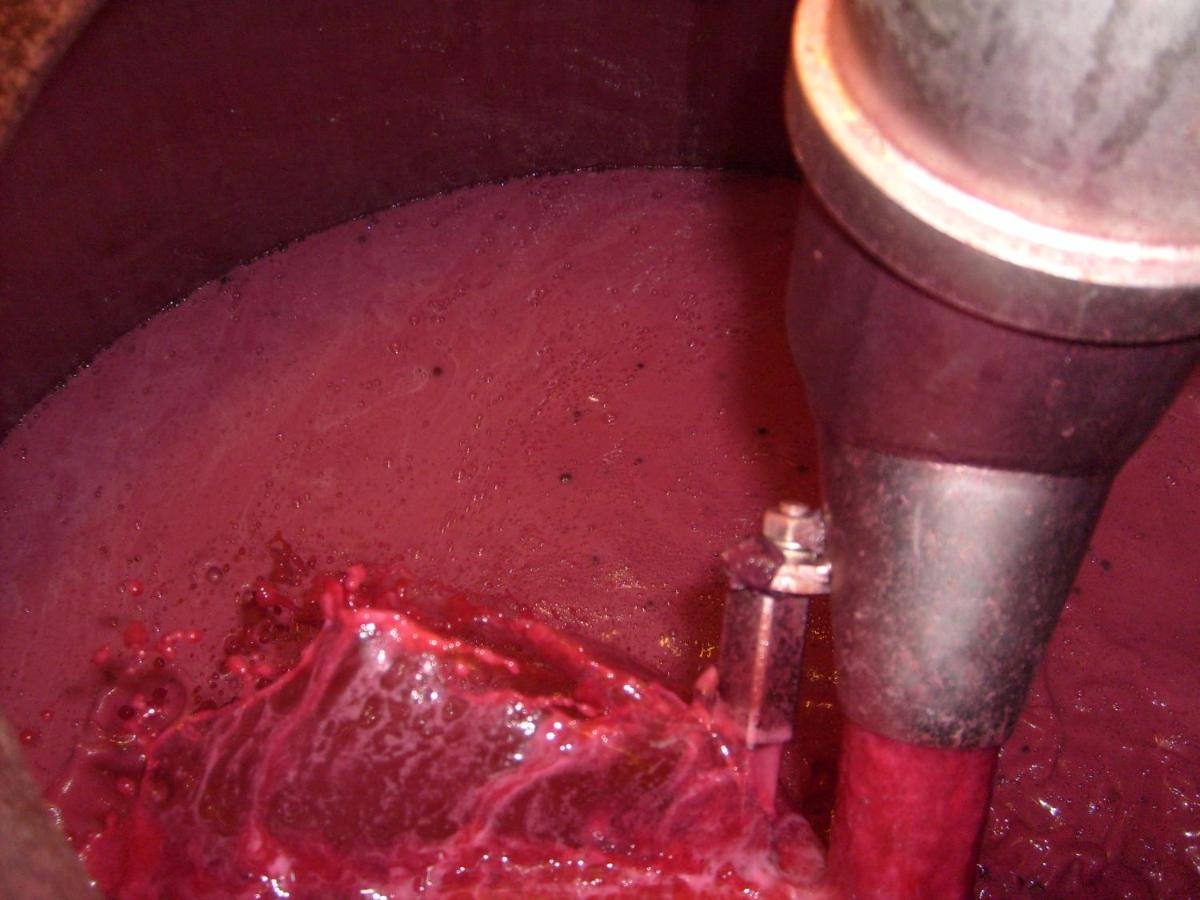 La Giribaldina Winery & Farmhouse