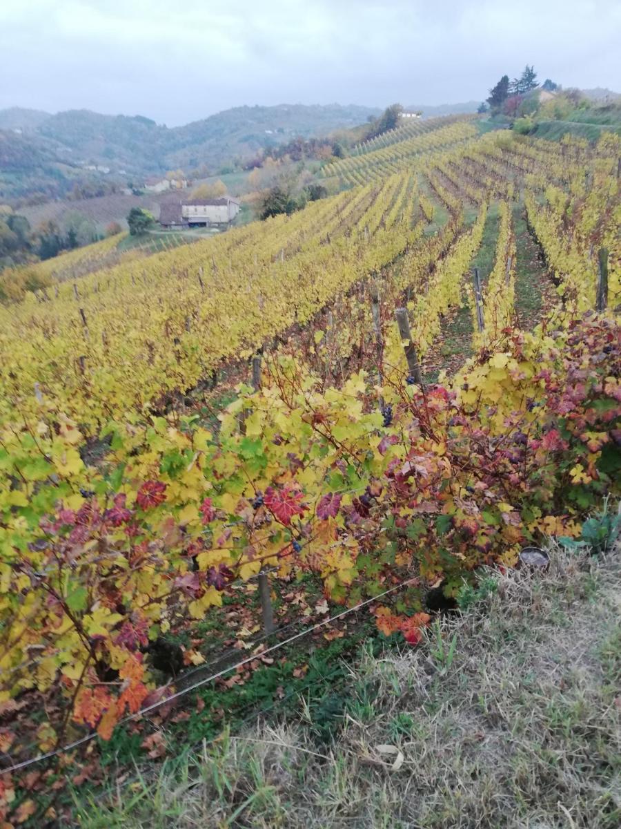 La Giribaldina Winery & Farmhouse
