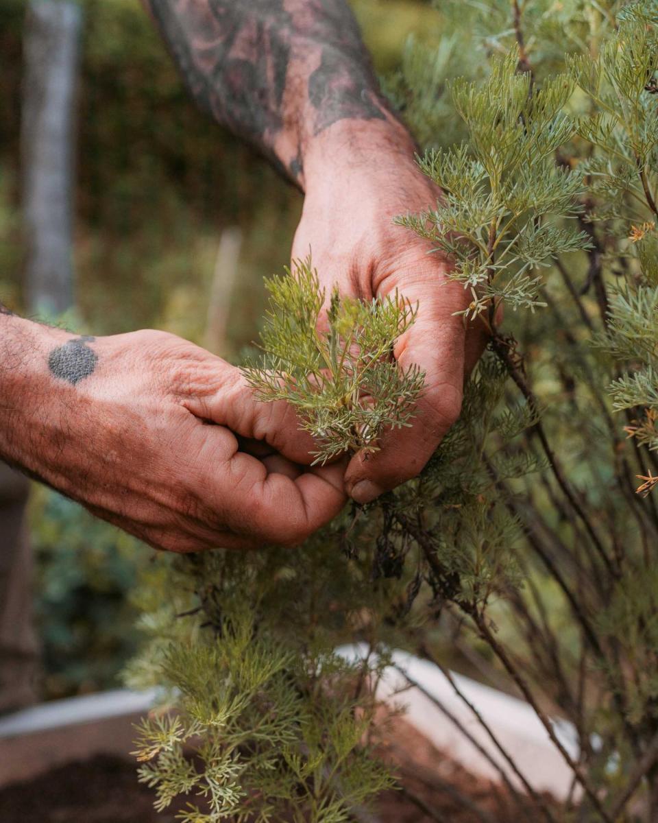 La Monastica Resort & Spa