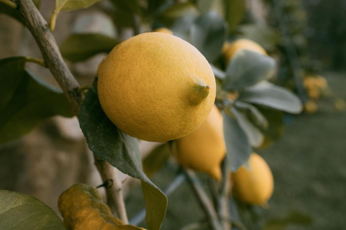 La Monastica Resort & Spa