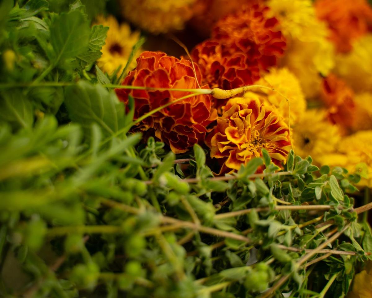 La Monastica Resort & Spa