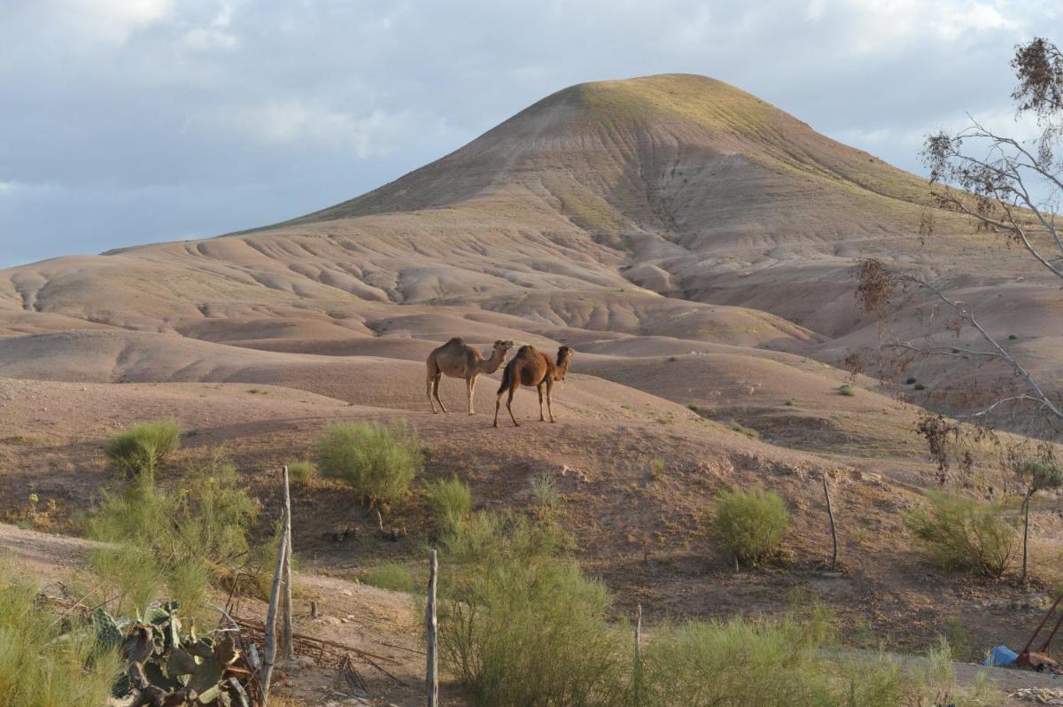 La Pause Ecolodge Agafay