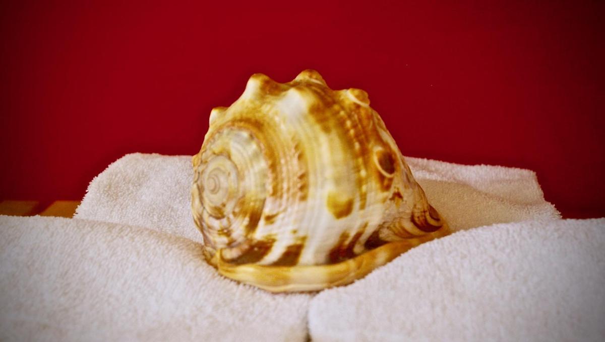 La Scibina