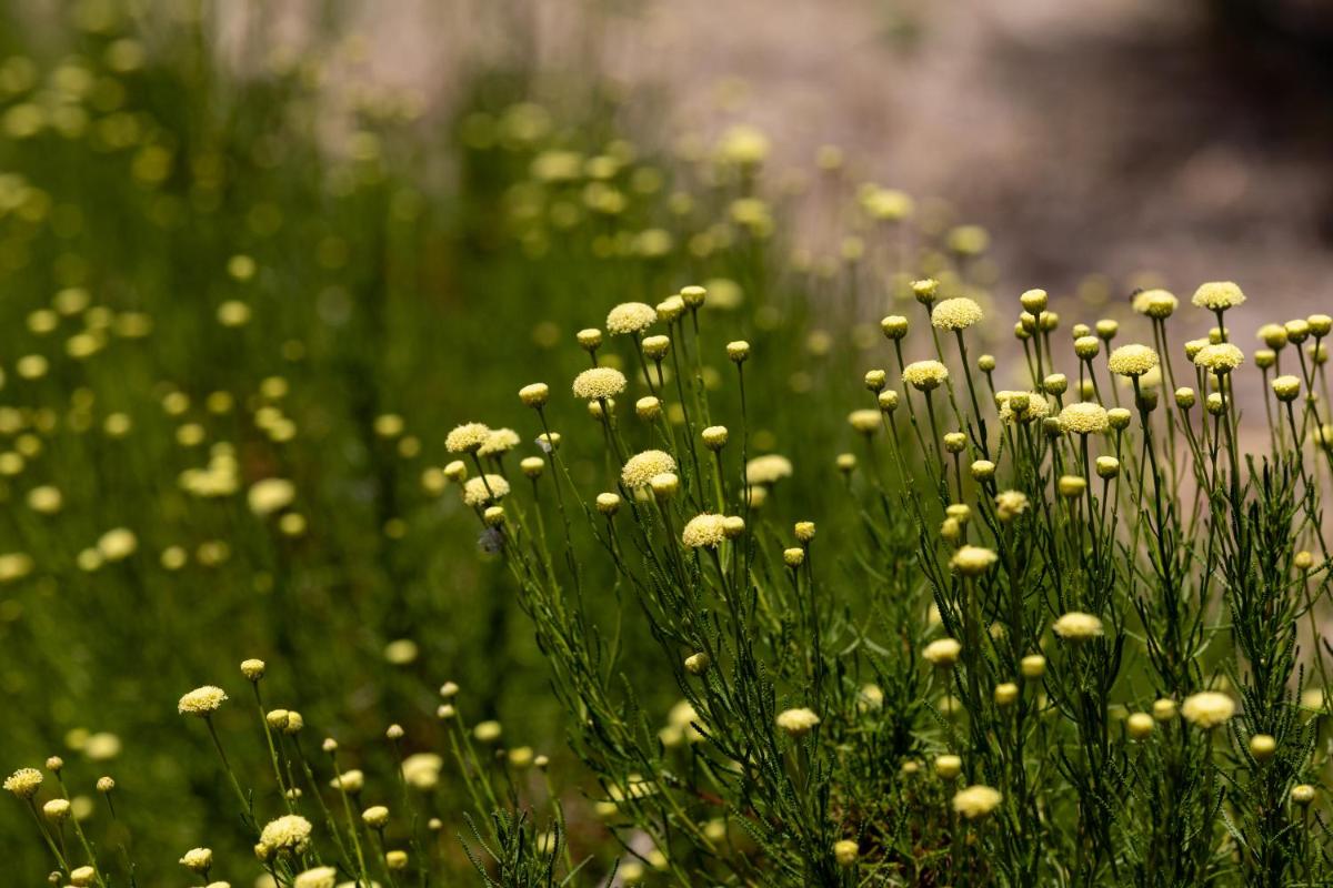 Planeta Country House & Beach Club