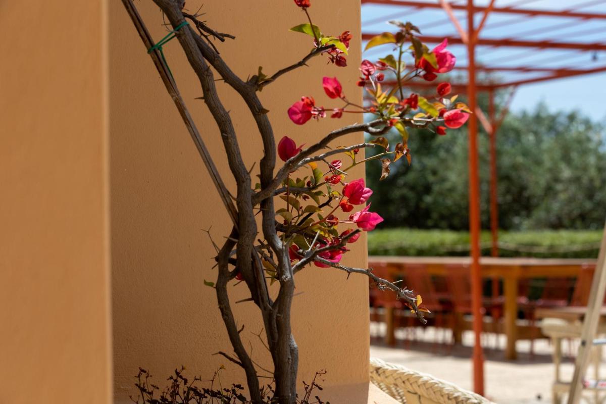 Planeta Country House & Beach Club