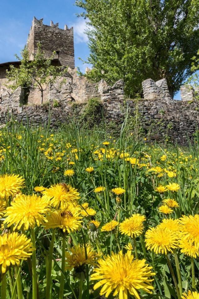 B&B La Tour de Villa