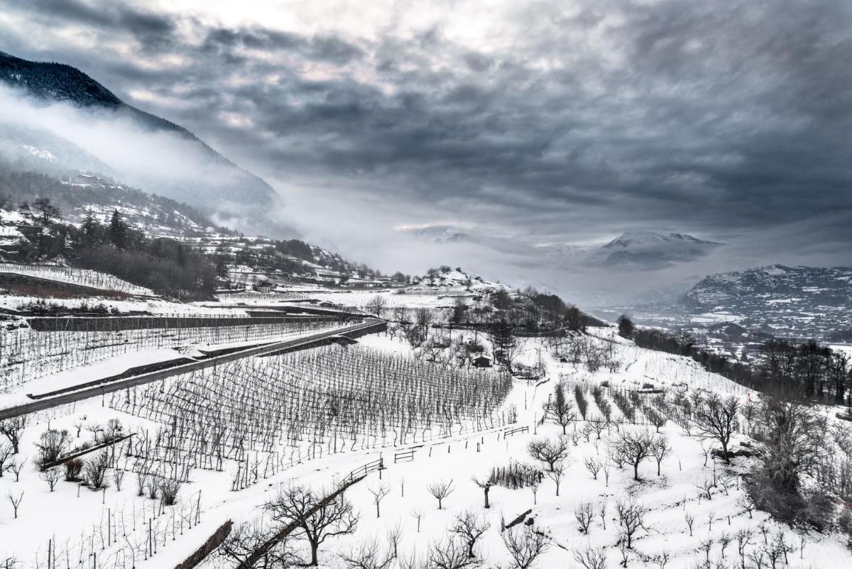 B&B La Tour de Villa