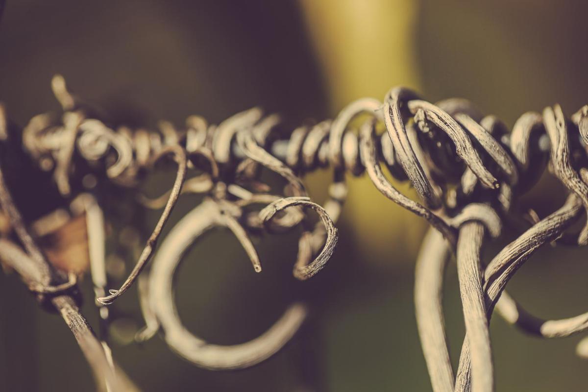 Langhe Country House