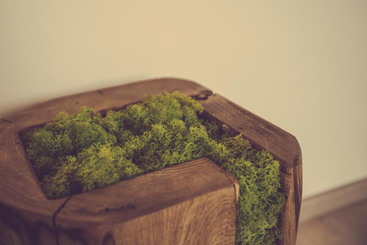 Langhe Country House