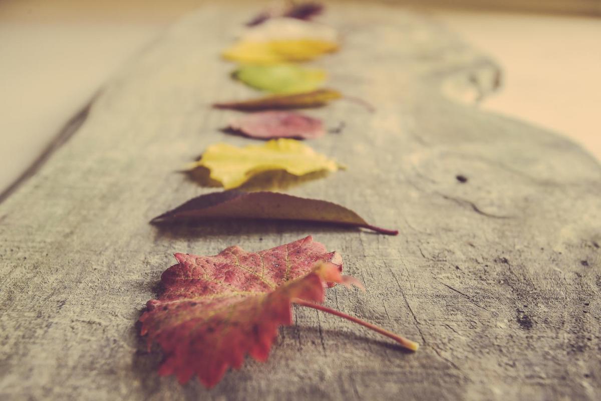 Langhe Country House