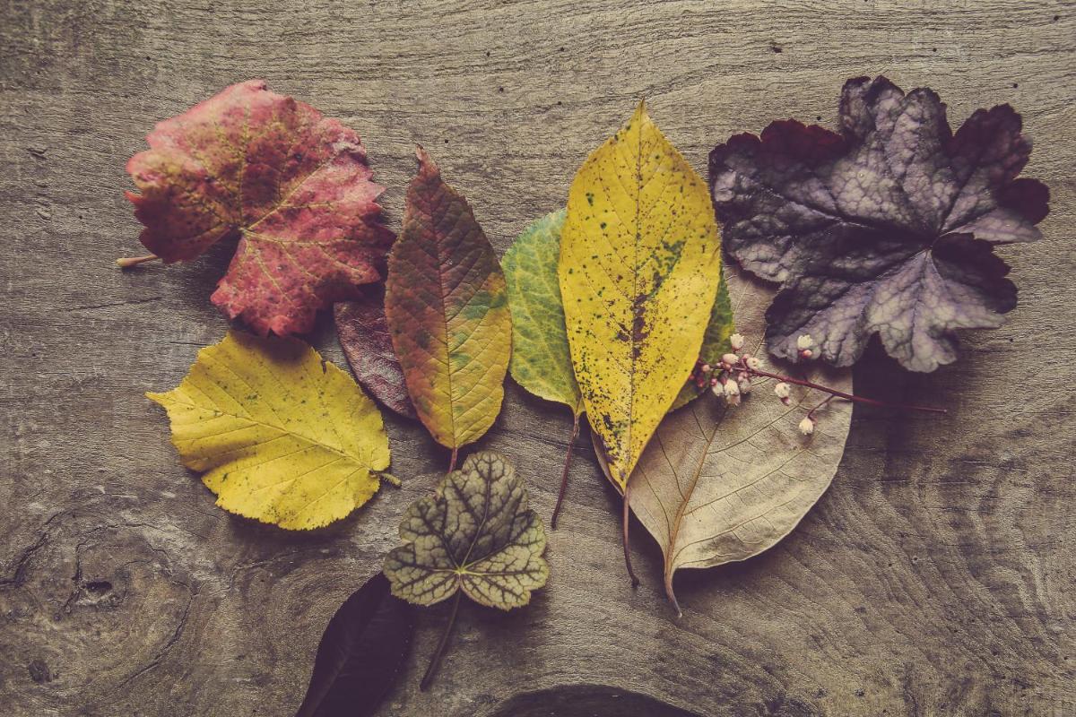 Langhe Country House