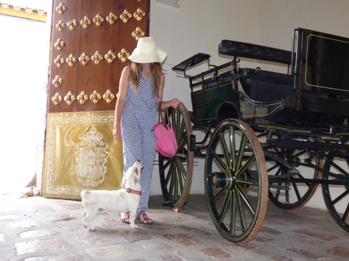 Las Casas de la Judería de Córdoba