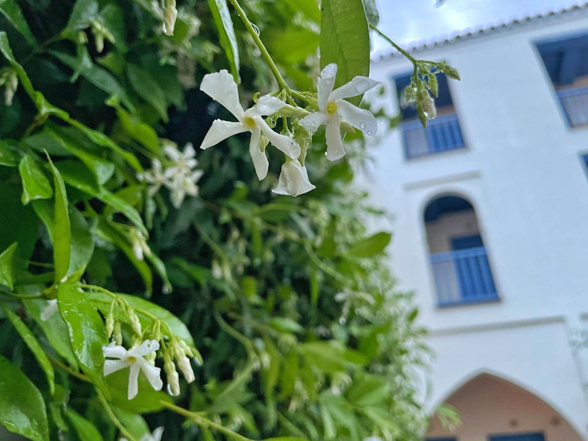 Las Casas de la Judería de Córdoba