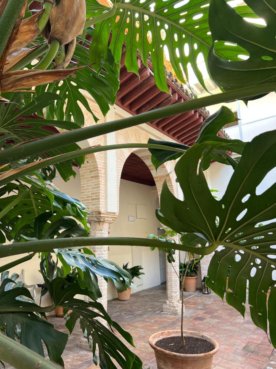 Las Casas de la Judería de Córdoba