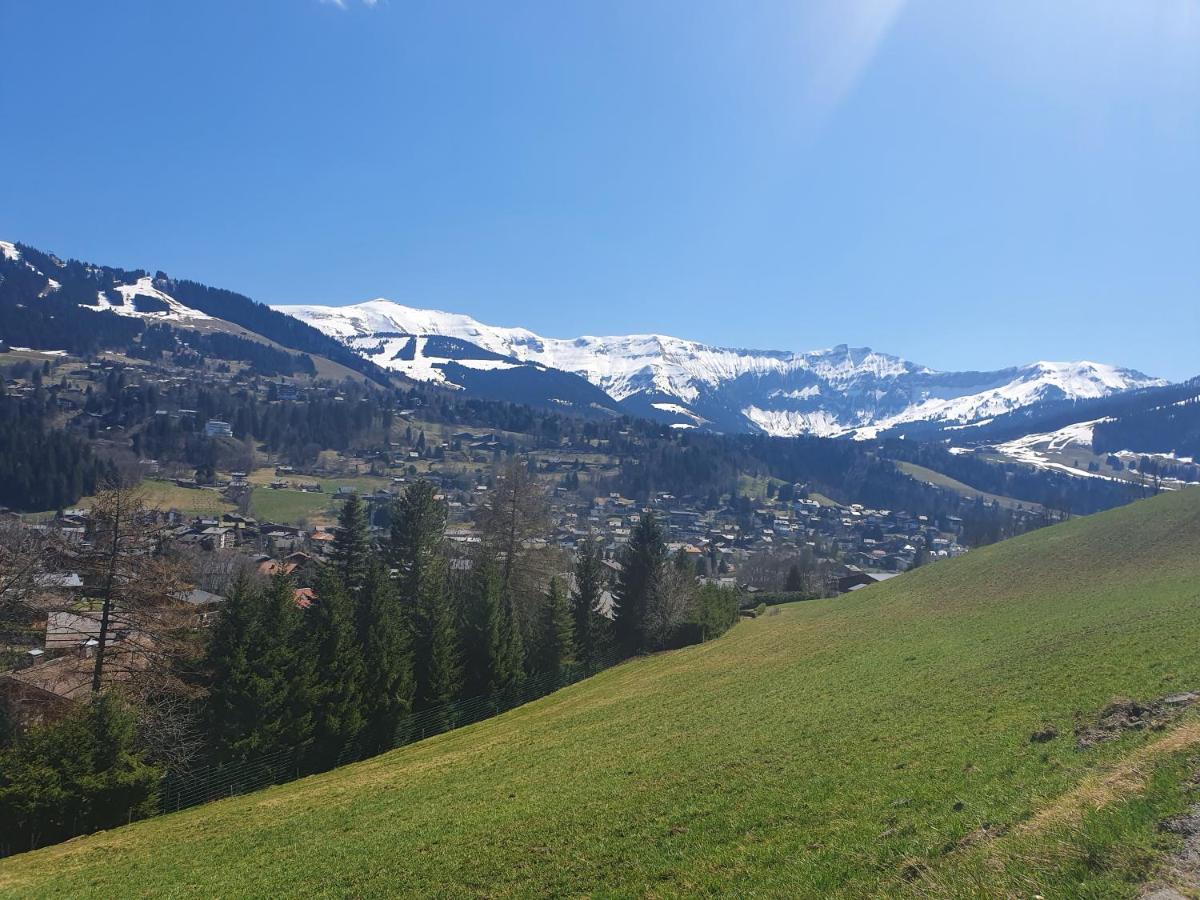 Le Chalet Blanc
