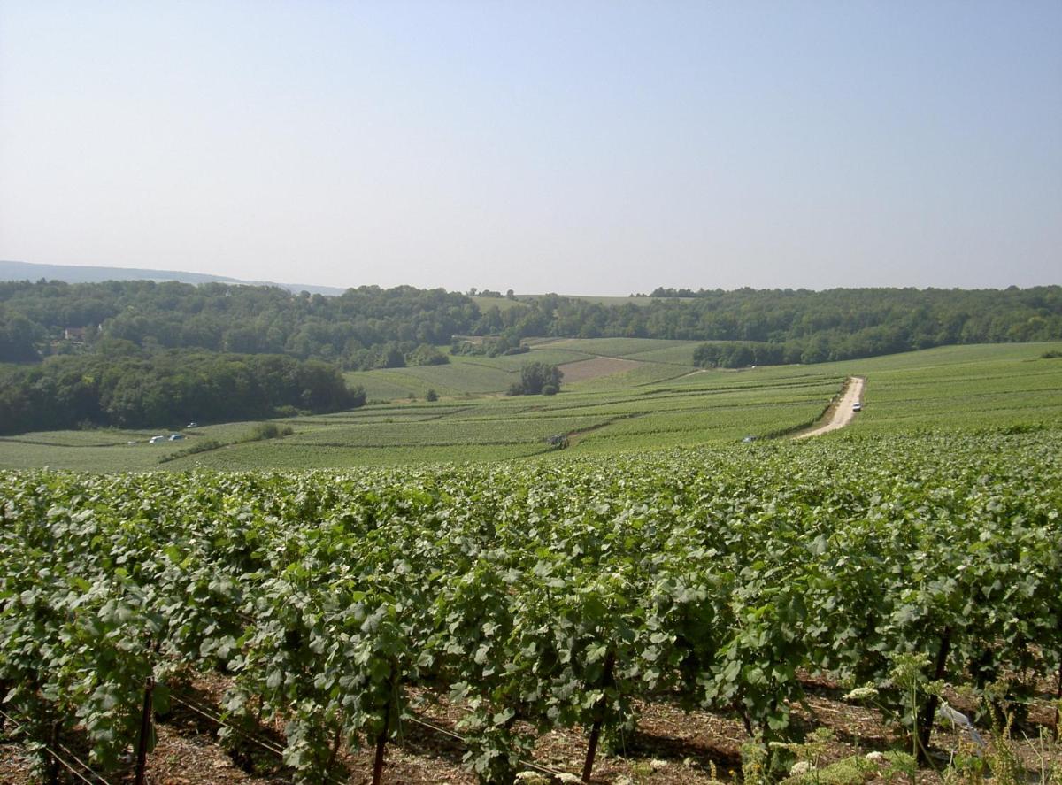 Le Clos des Terres Soudées - Teritoria
