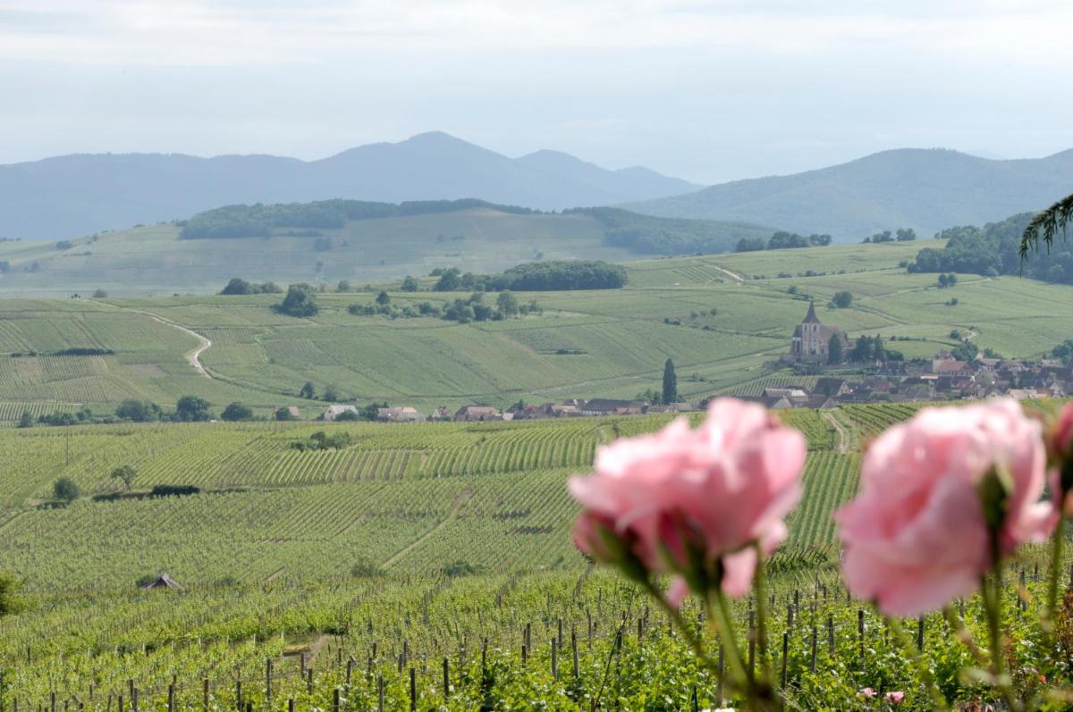 Le Clos Saint-Vincent