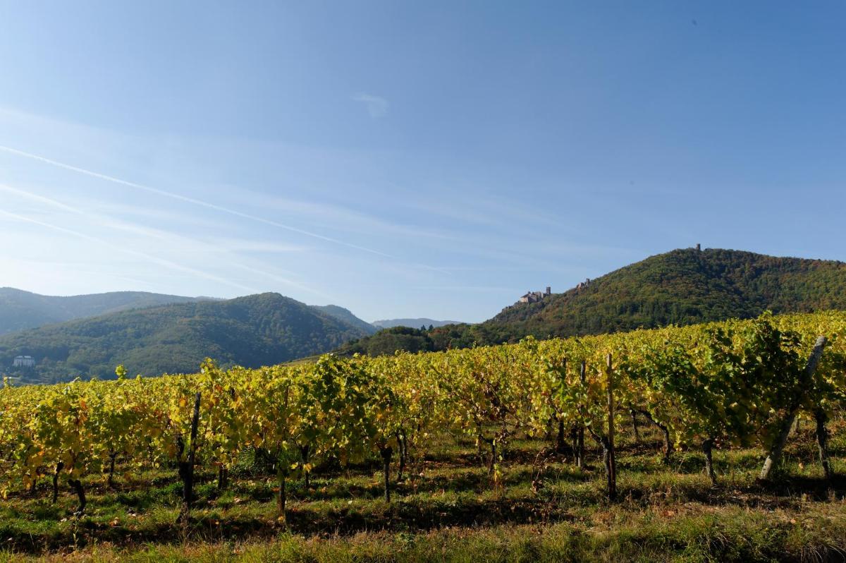 Le Clos Saint-Vincent