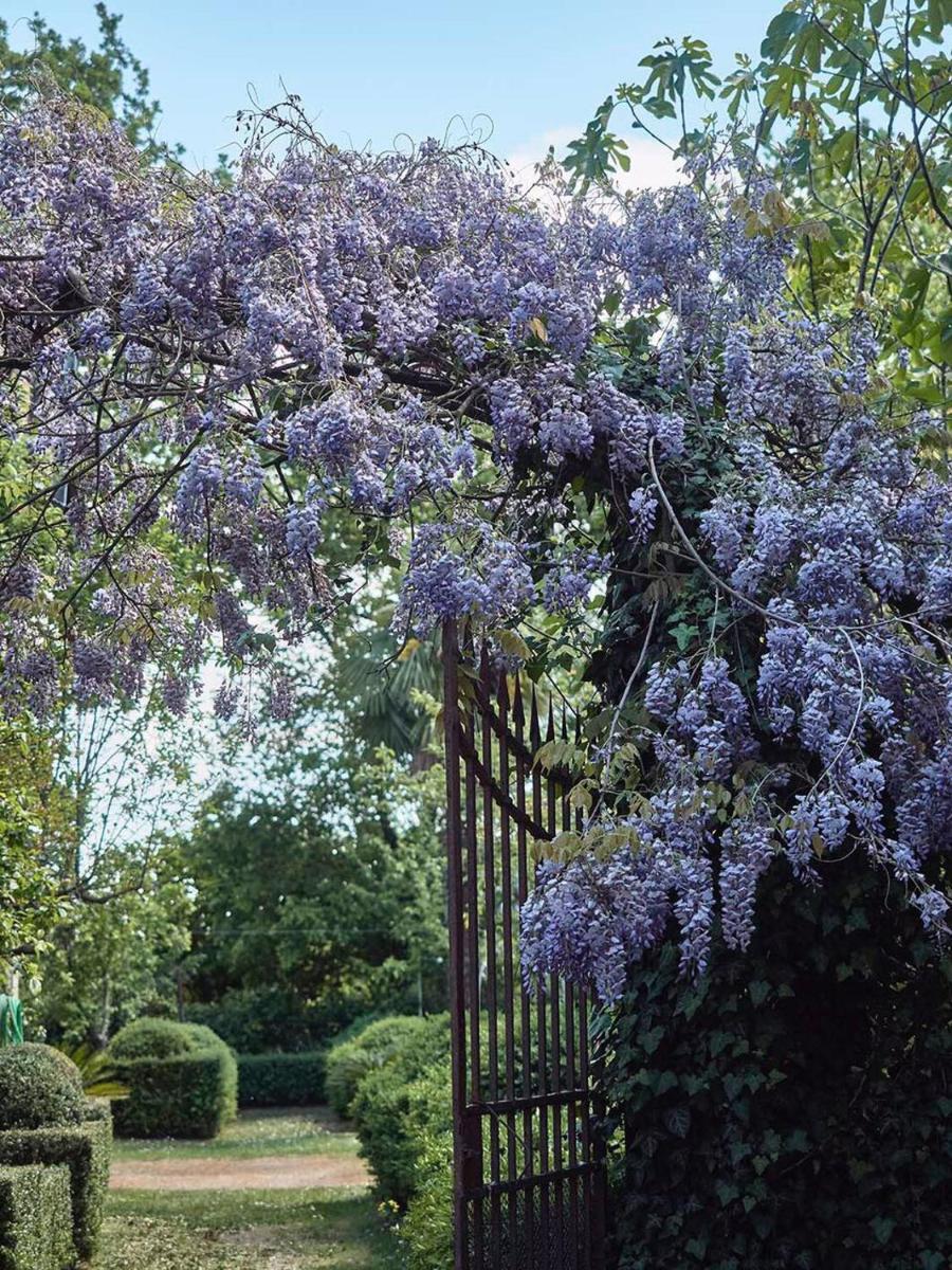 Le dimore de Il borgo del balsamico