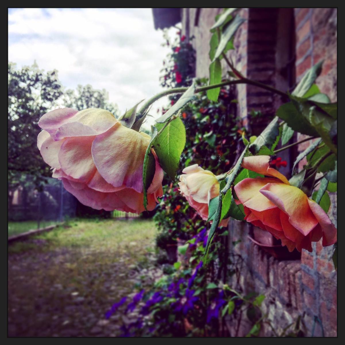 Le dimore de Il borgo del balsamico