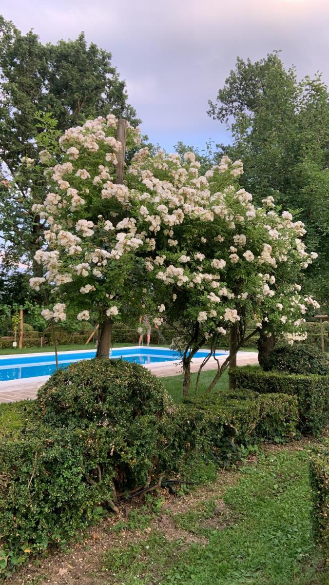 Le dimore de Il borgo del balsamico