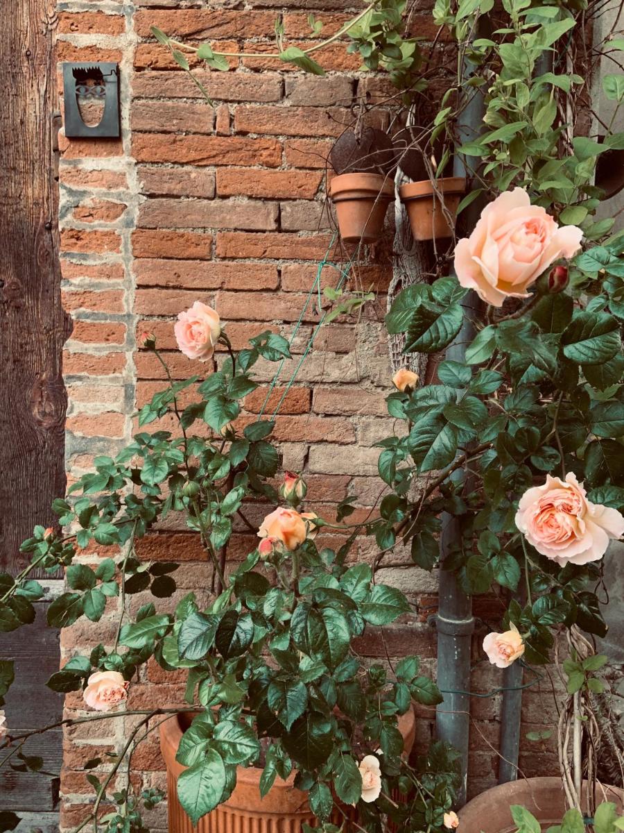 Le dimore de Il borgo del balsamico