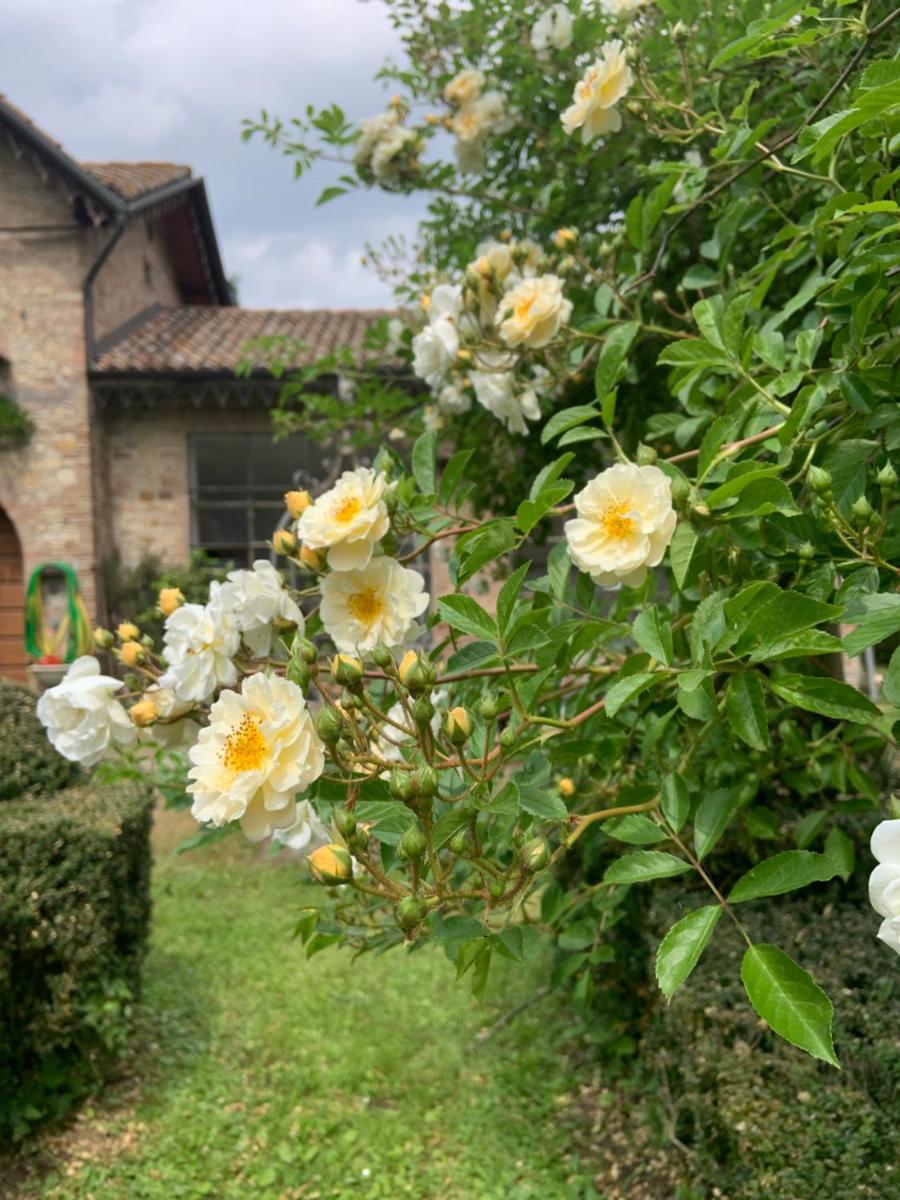 Le dimore de Il borgo del balsamico