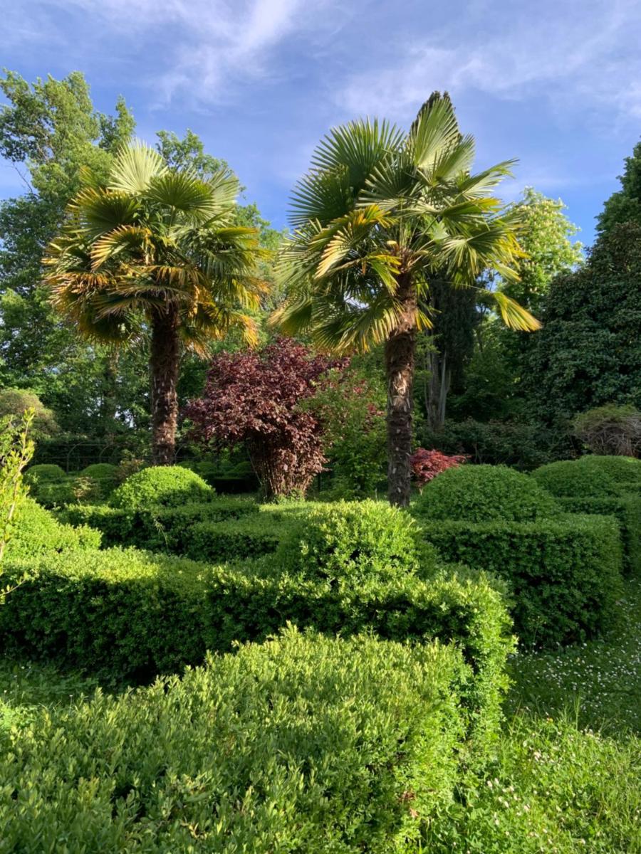 Le dimore de Il borgo del balsamico