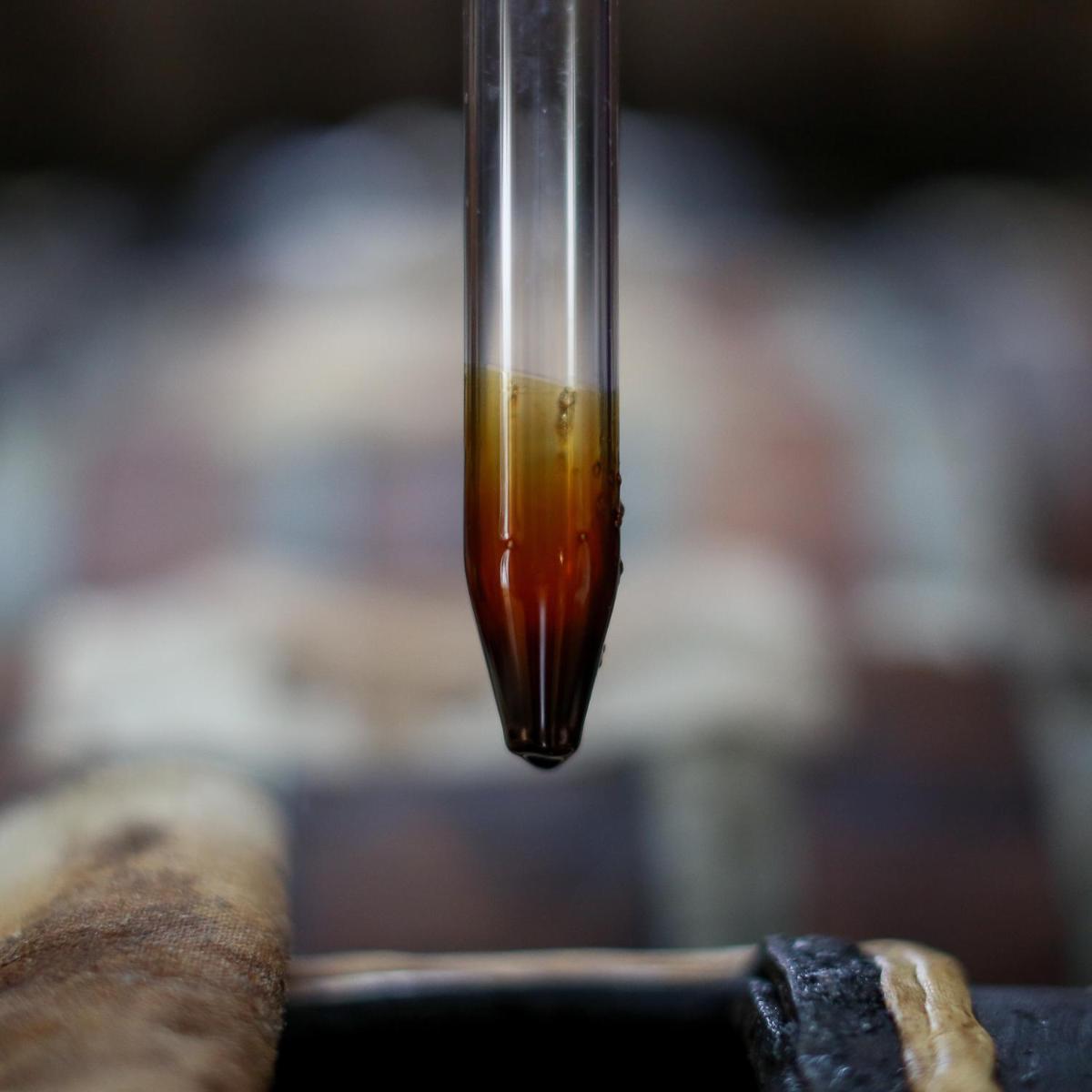 Le dimore de Il borgo del balsamico
