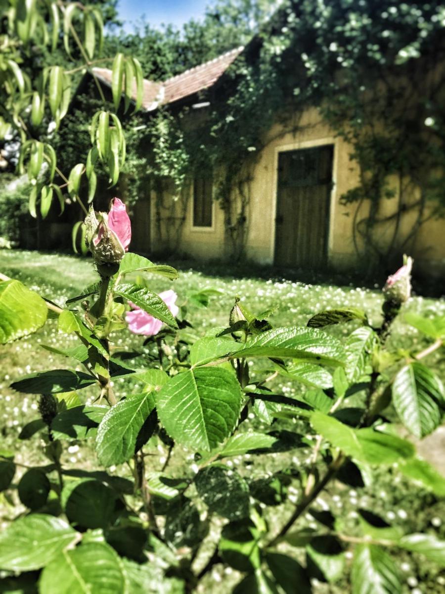 Le dimore de Il borgo del balsamico