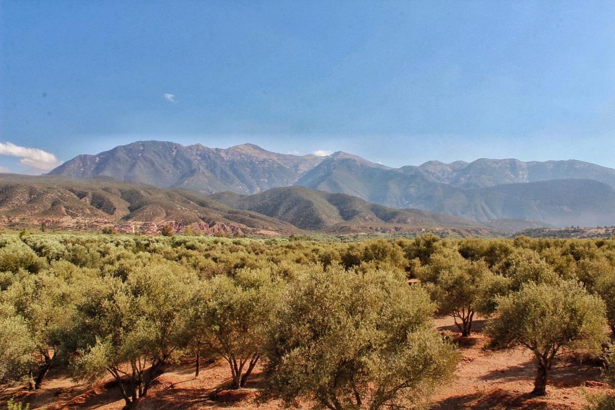 LE DOMAINE BY MAKASSAR