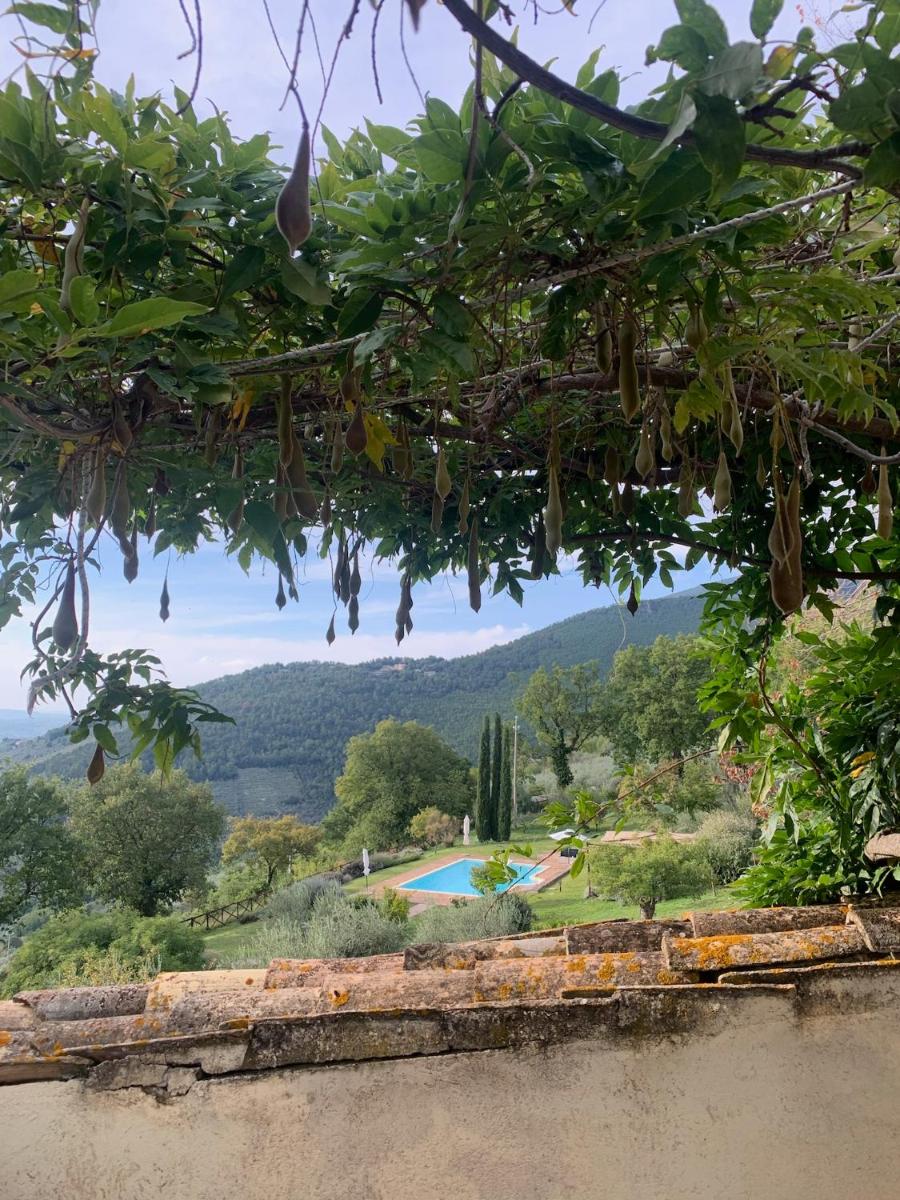 Le Logge Di Silvignano