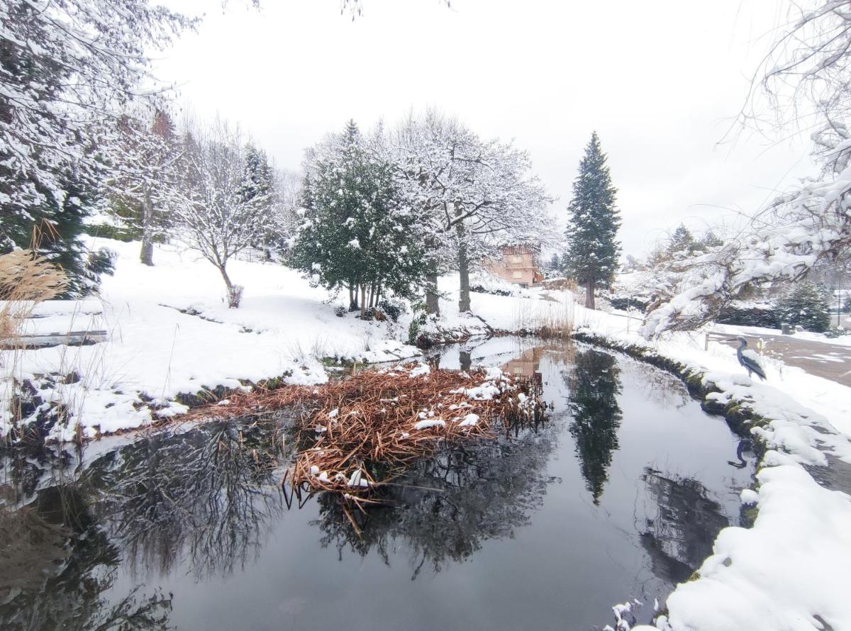 Le Manoir Au Lac