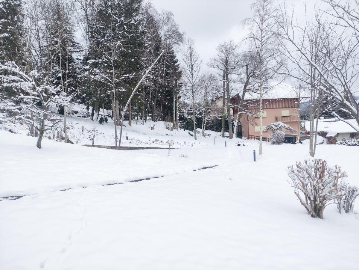 Le Manoir Au Lac