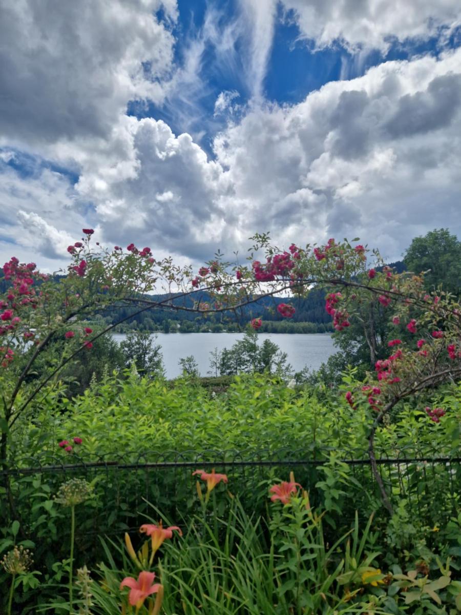 Le Manoir Au Lac