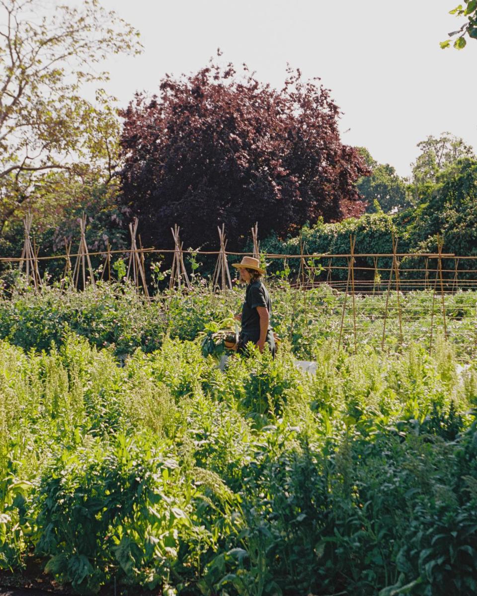 Le Manoir aux Quat'Saisons, A Belmond Hotel, Oxfordshire