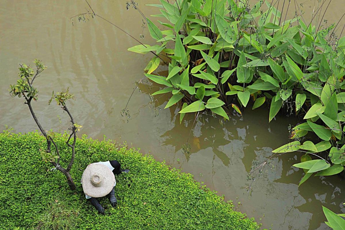 Le Meridien Chiang Rai Resort, Thailand