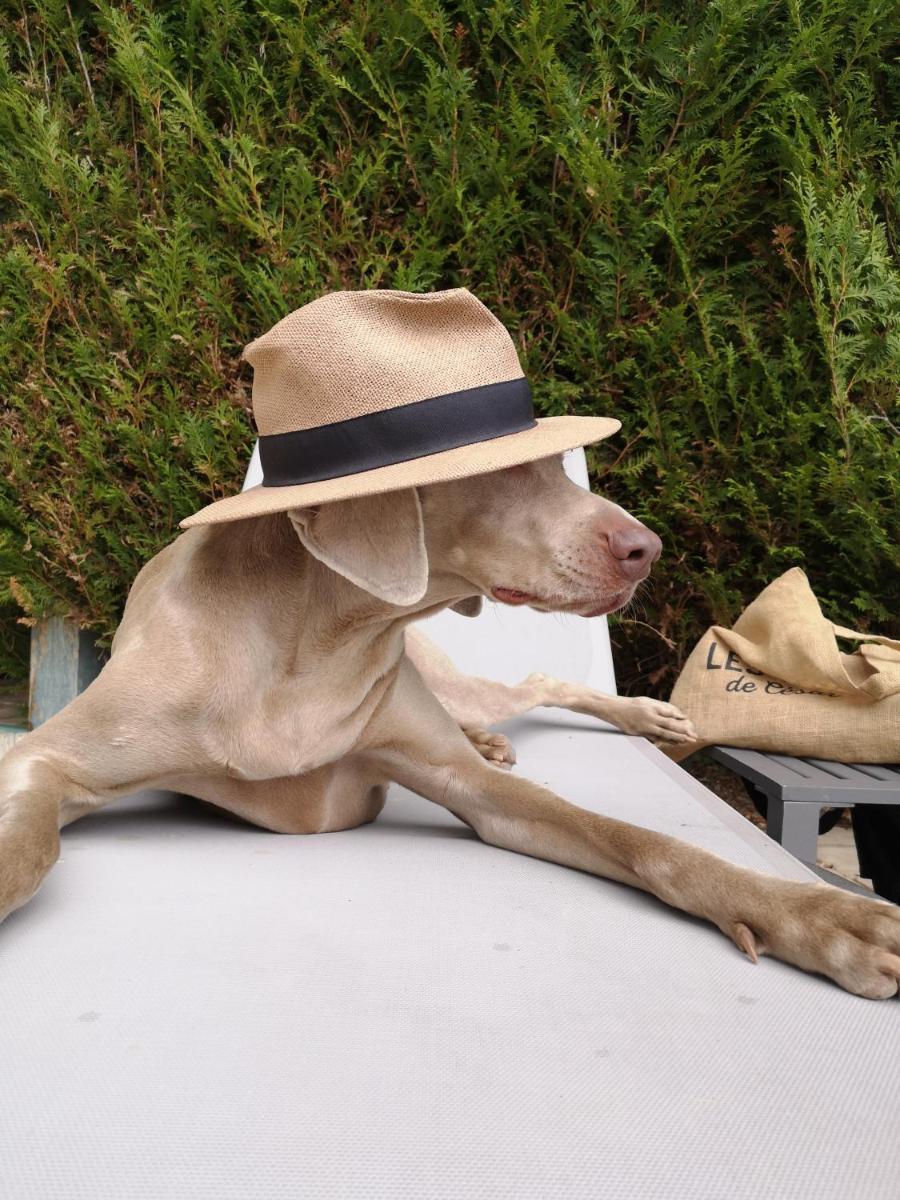 Le Moulin De Connelles