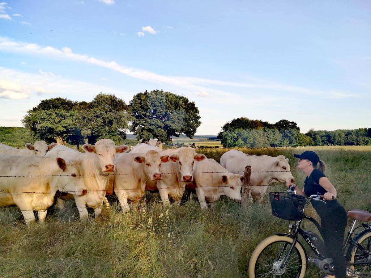 Le Moulin De Connelles