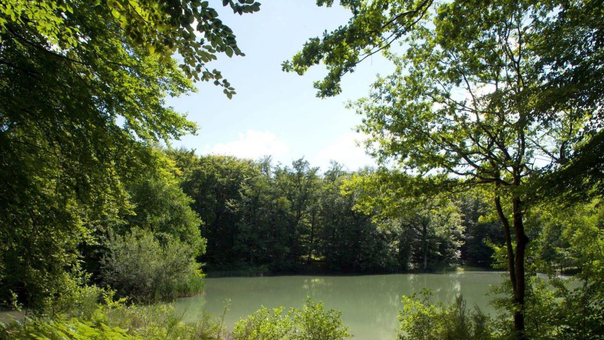 Le Pavillon De Gouffern