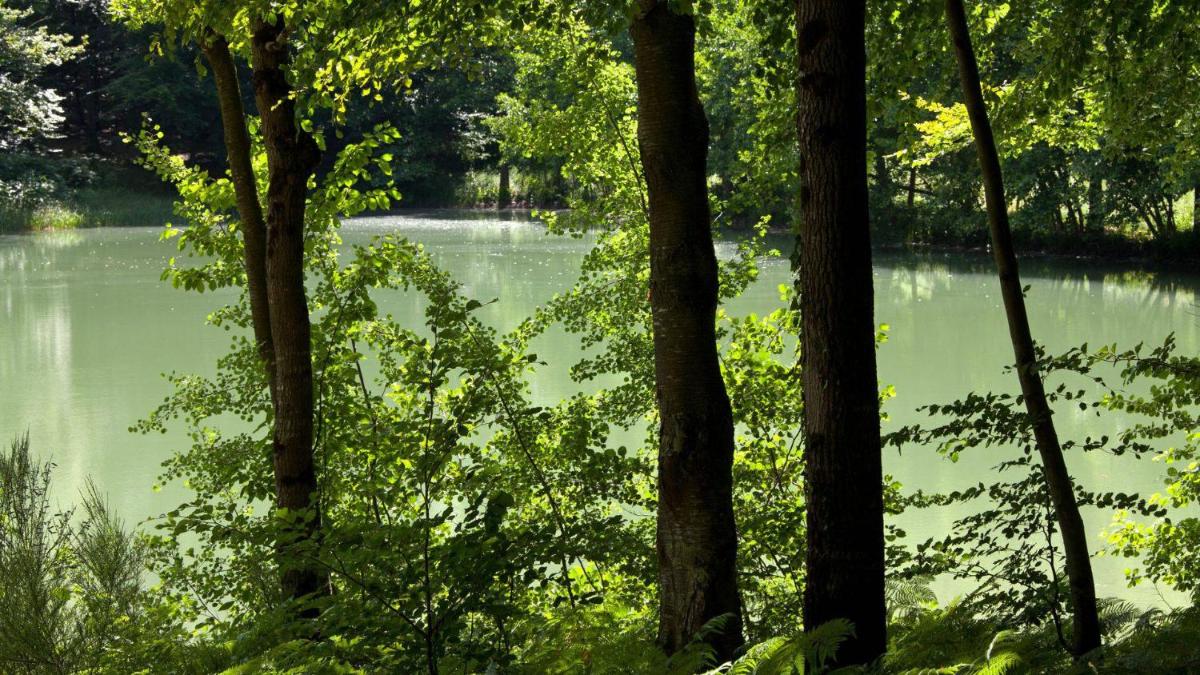 Le Pavillon De Gouffern