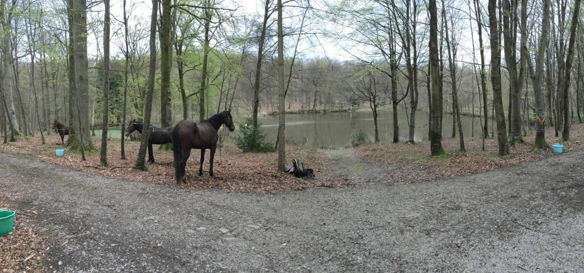 Le Pavillon De Gouffern