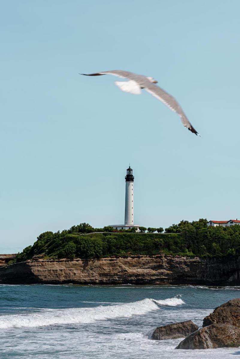 Regina Experimental Biarritz