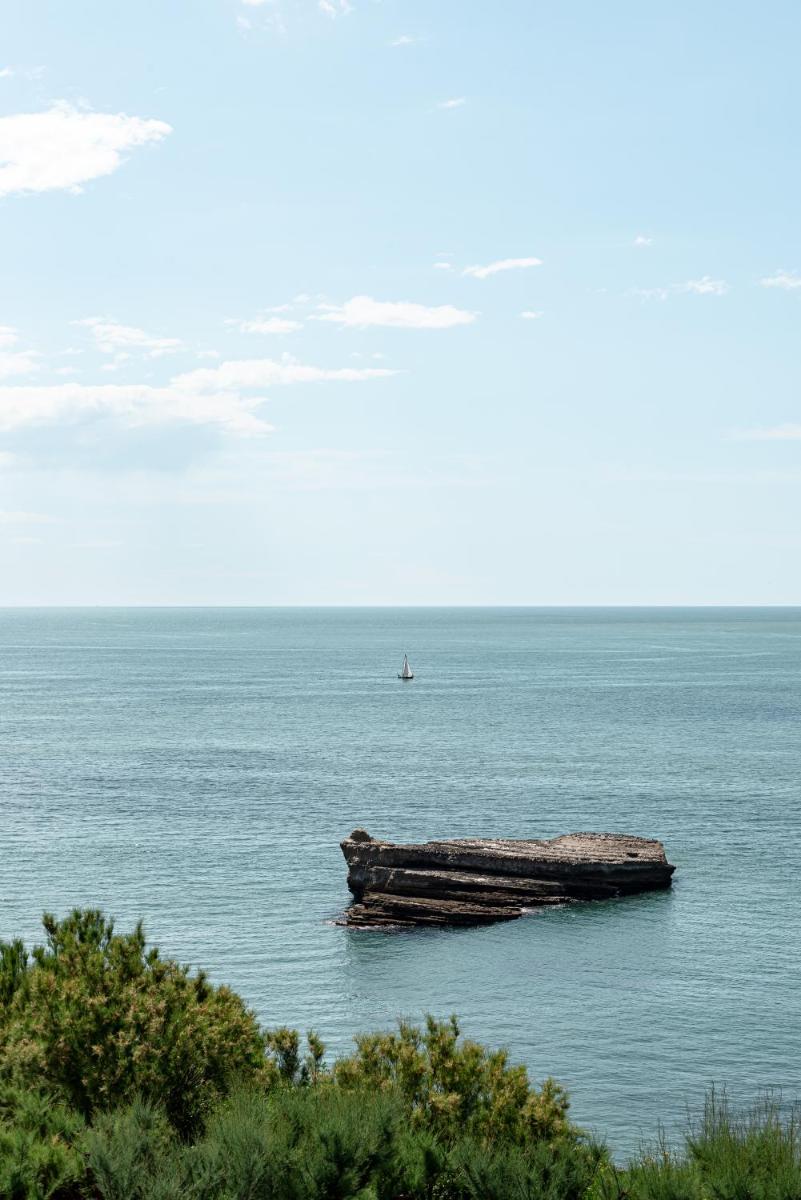 Regina Experimental Biarritz