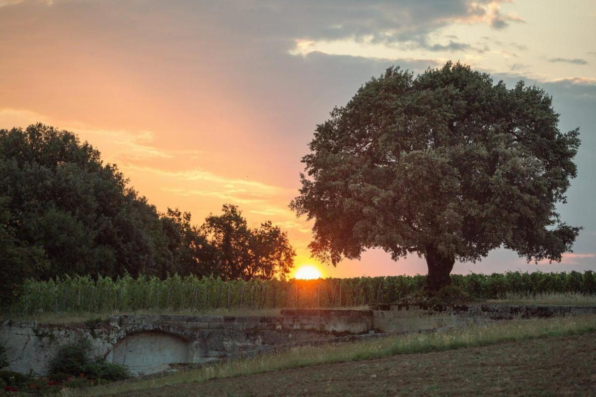 Le Relais de Franc Mayne Saint Emilion