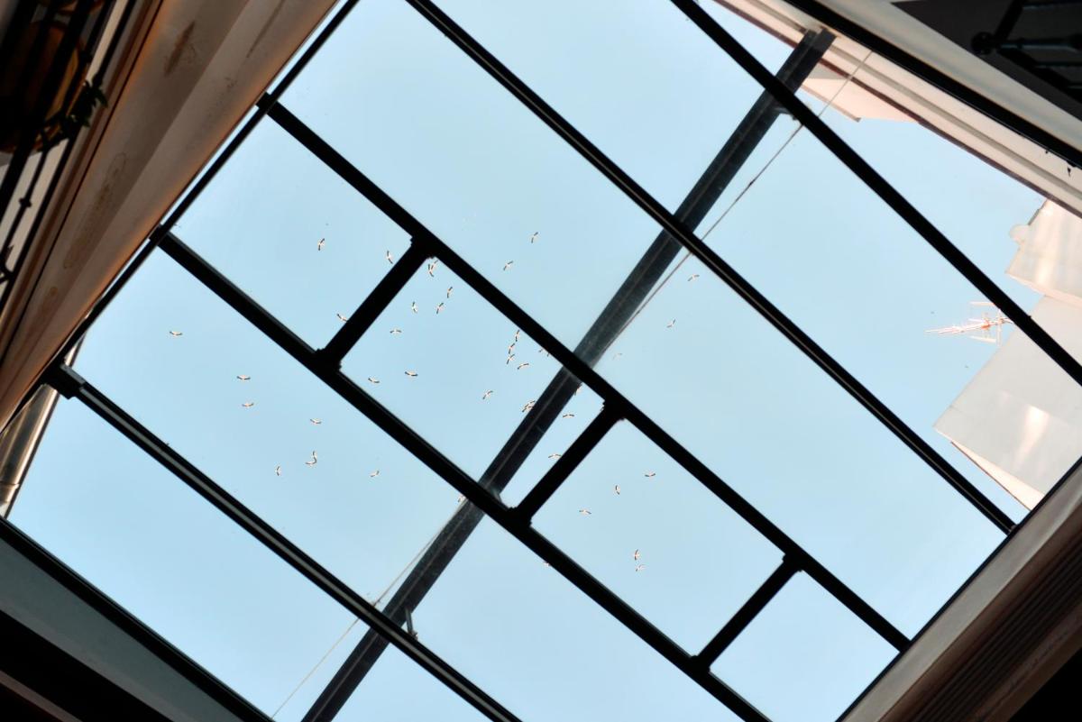 Legado Alcazar Hotel